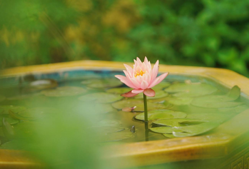 services 02 services 02